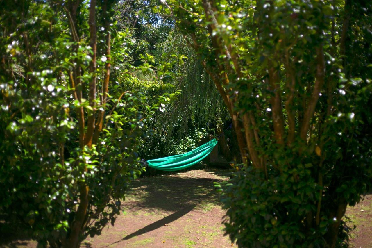 Villa Varzea - Garden Suite Zewnętrze zdjęcie